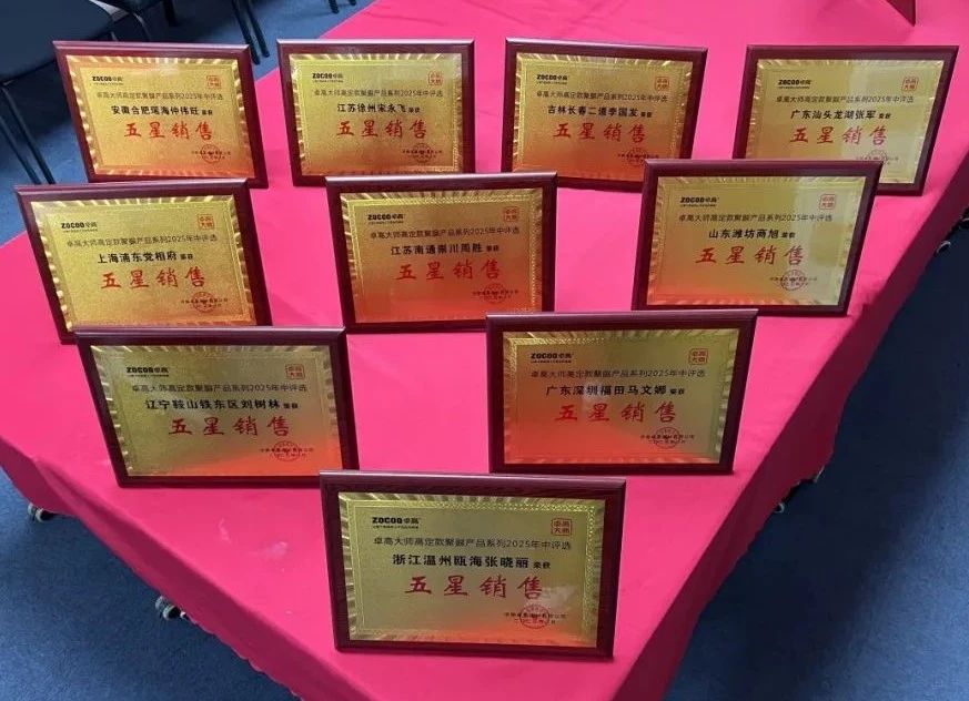 尊龙凯时大师五星销售奖牌